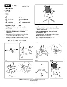 Illustration created in Adobe Ilustrator