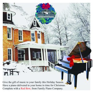 Christmas Promotional ad. created with Photoshop and InDesign for Social Media postings.